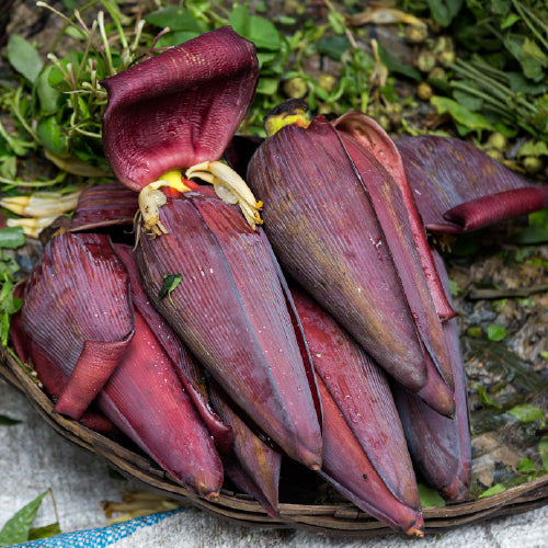 Banana Flower