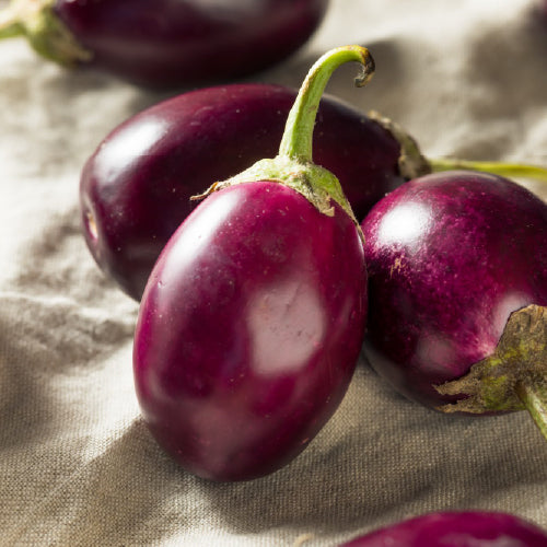 Brinjal