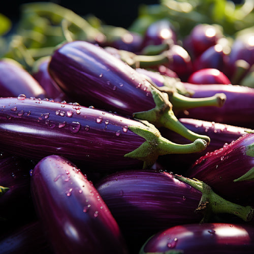 Brinjal Long Purple