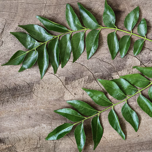 Curry Leaves