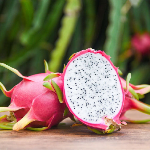 Dragon Fruit