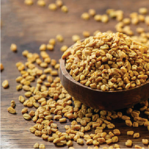 Fenugreek(Methi) Seeds