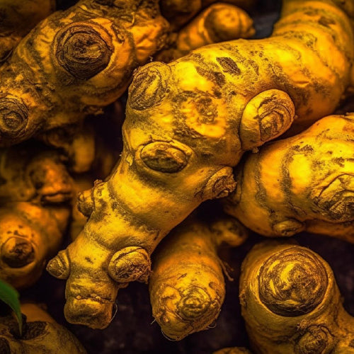 Fresh Turmeric