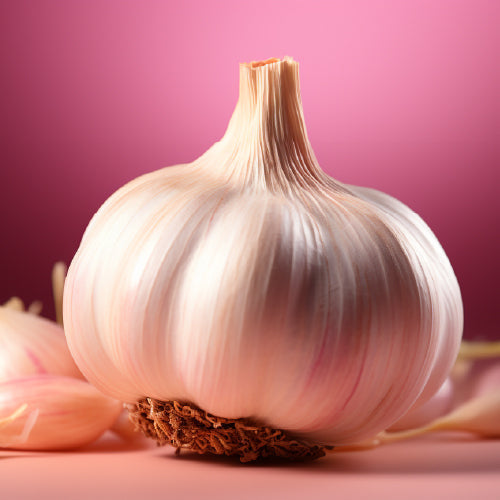 Garlic