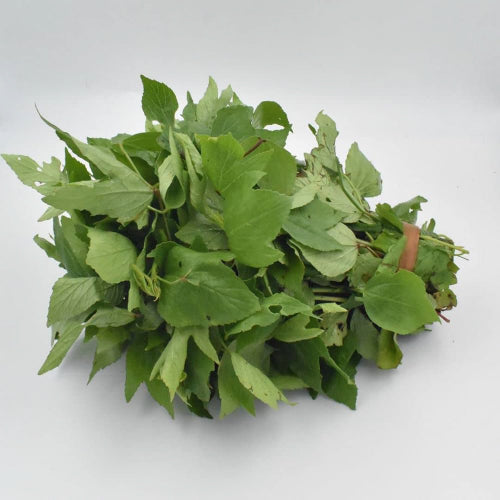 Gongura Leaves