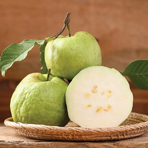 Guava