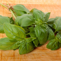 Thumbnail for Italian Basil