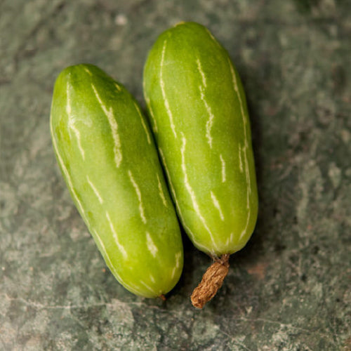 Ivy Gourd