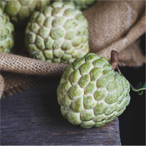 Large Custard Apple