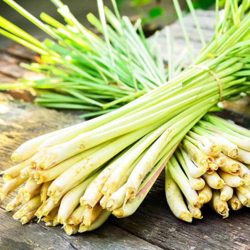 Lemon Grass