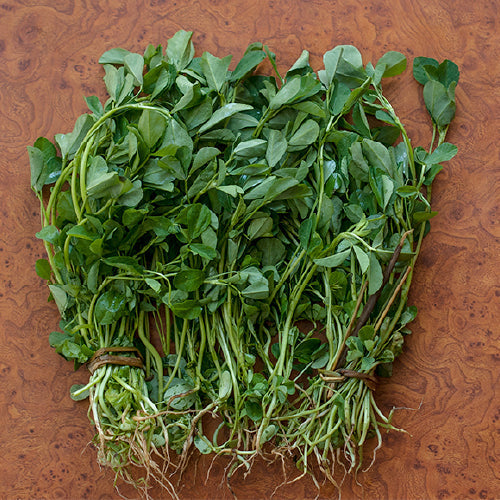 Methi (Root-cut)