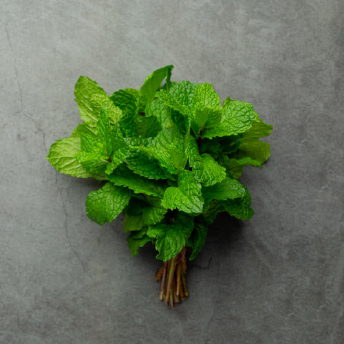 Mint (Root-cut)