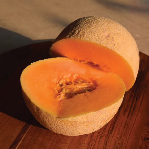 Muskmelon