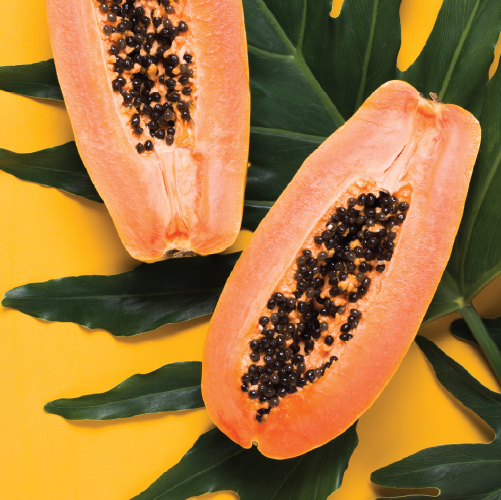 Papaya