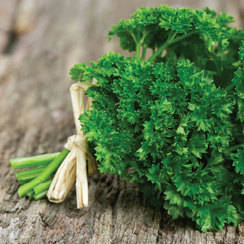 Parsley