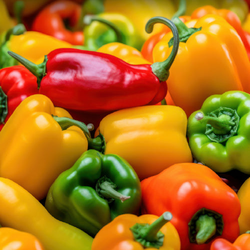 Colours of Capsicum