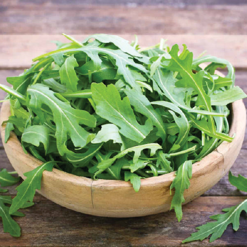 Rocket - Arugula