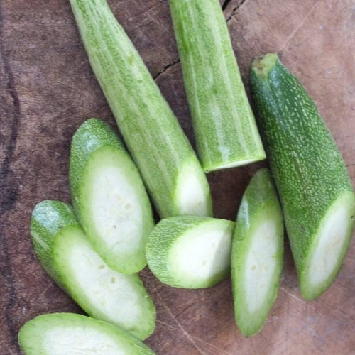 Snake Gourd