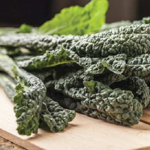 Tuscan Kale