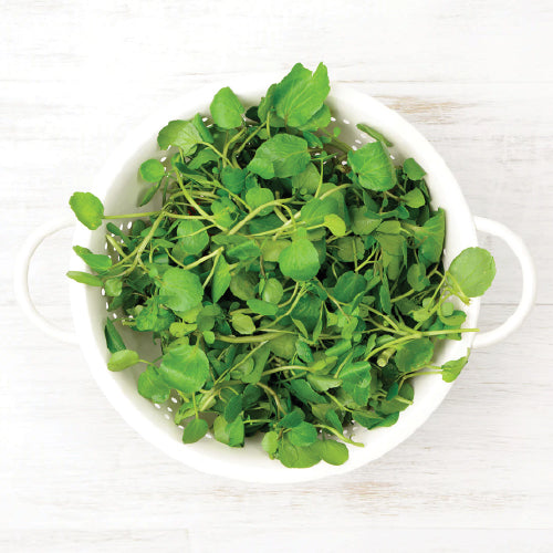 Watercress