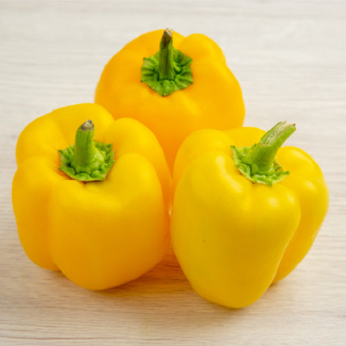 Yellow Capsicum