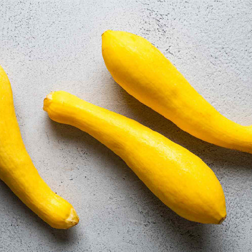 Yellow Zucchini